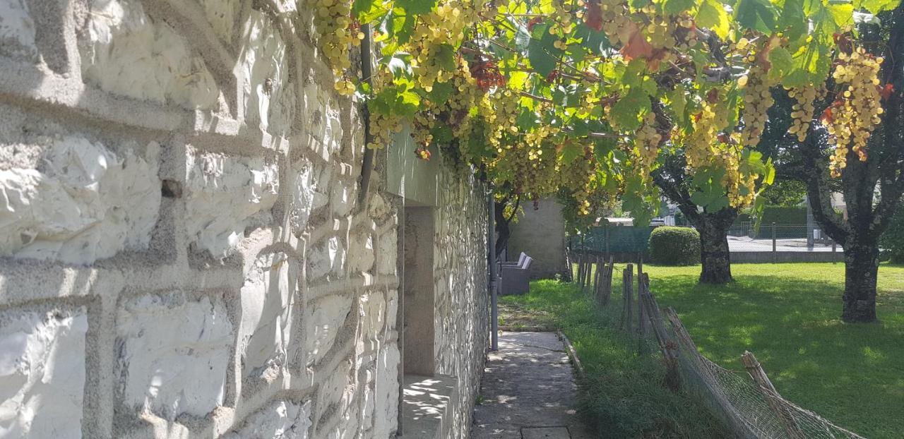 Villa Wifi Clim Garage Jardin BBQ Cosy House Brive-la-Gaillarde Exterior foto